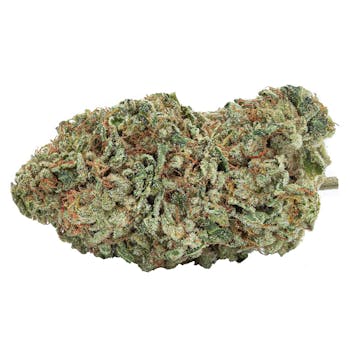 The Green Organic Dutchman - Organic Maple Kush 3.5G / - Organic Maple Kush 3.5g Dried Flower